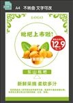 枇杷促销海报