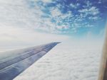 高空中的机翼