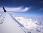 高空中的机翼