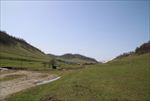关山牧场