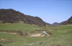 关山牧场