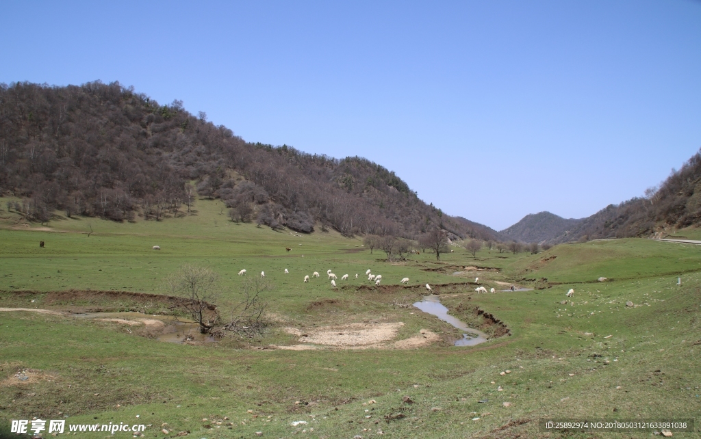 关山牧场
