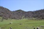 关山牧场