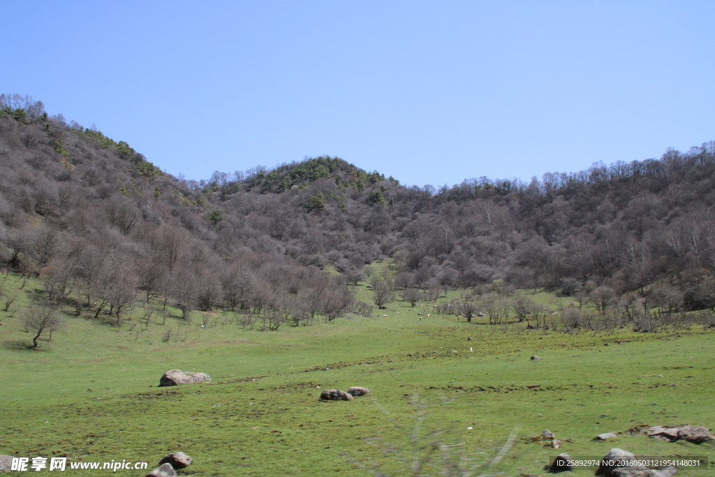 关山牧场