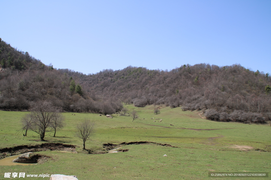 关山牧场