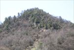 关山牧场
