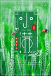 小满