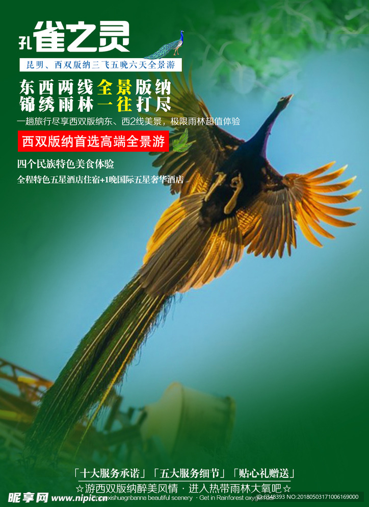 孔雀之灵 旅游海报
