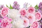 鲜花