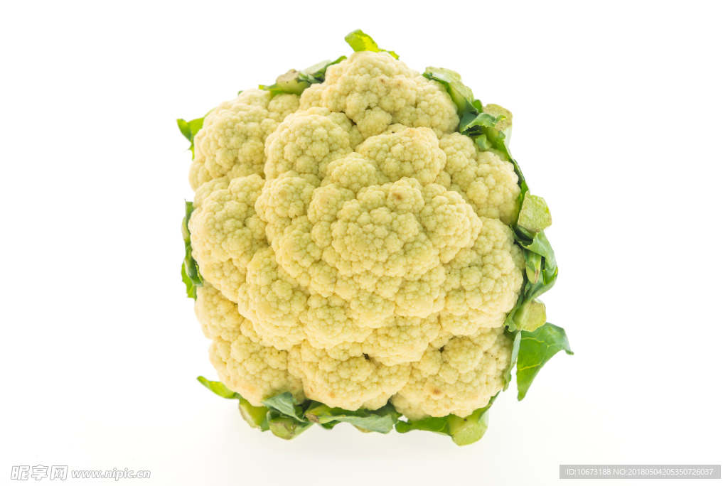 花菜