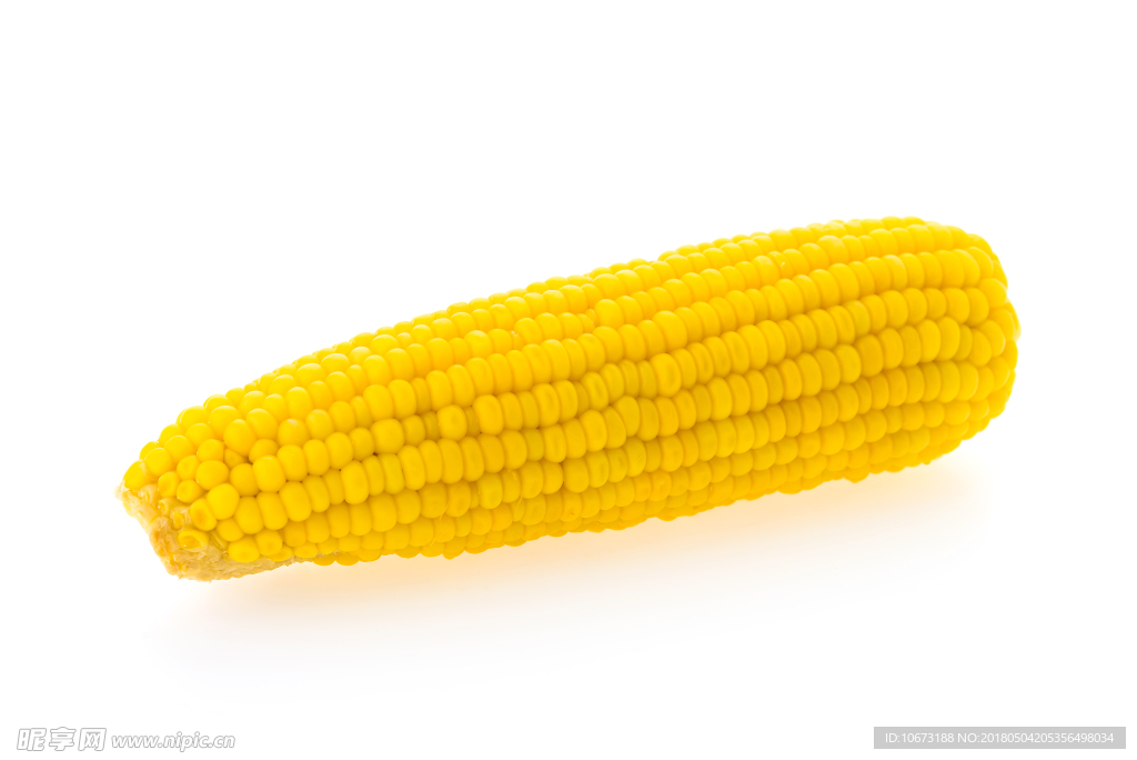 玉米