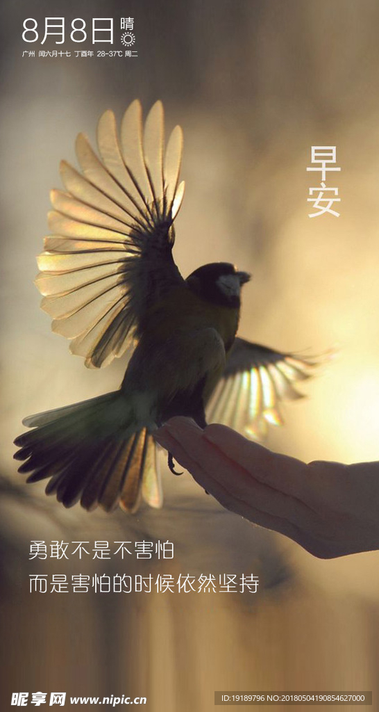 早安