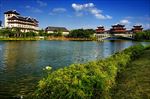 湿地公园