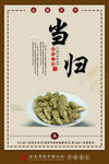 药材海报