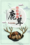 药材海报