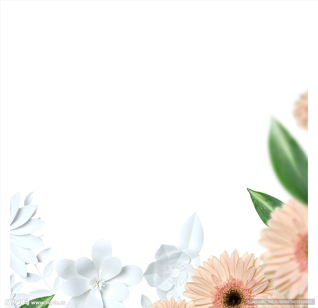 花背景