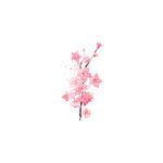 梅花