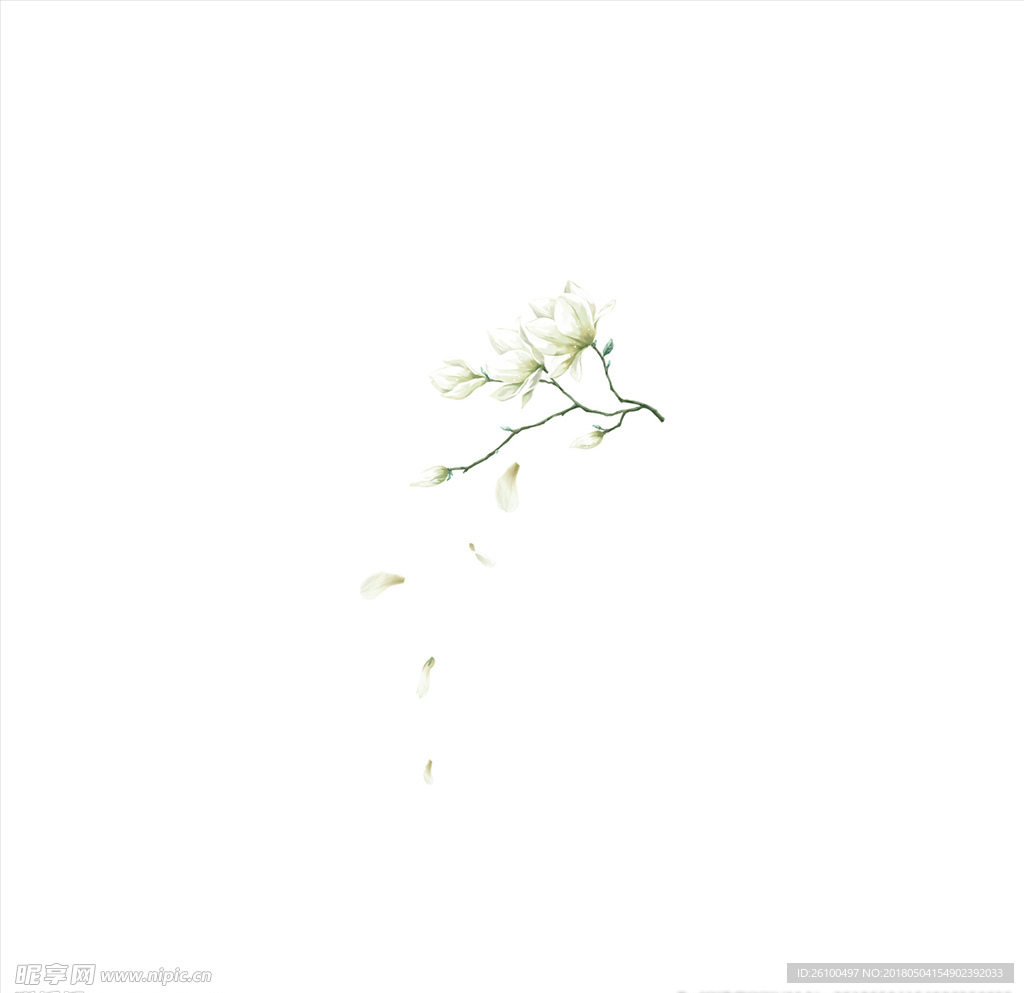 木棉花