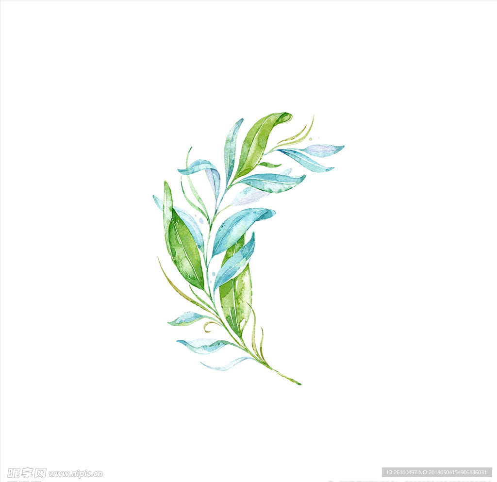 手绘叶子
