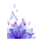 紫色花背景