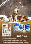 黑龙江旅游海报