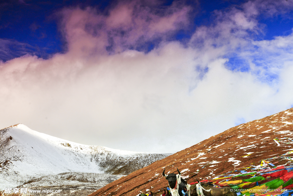 米拉雪山