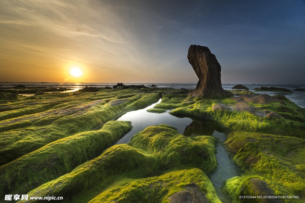 湿地沼泽