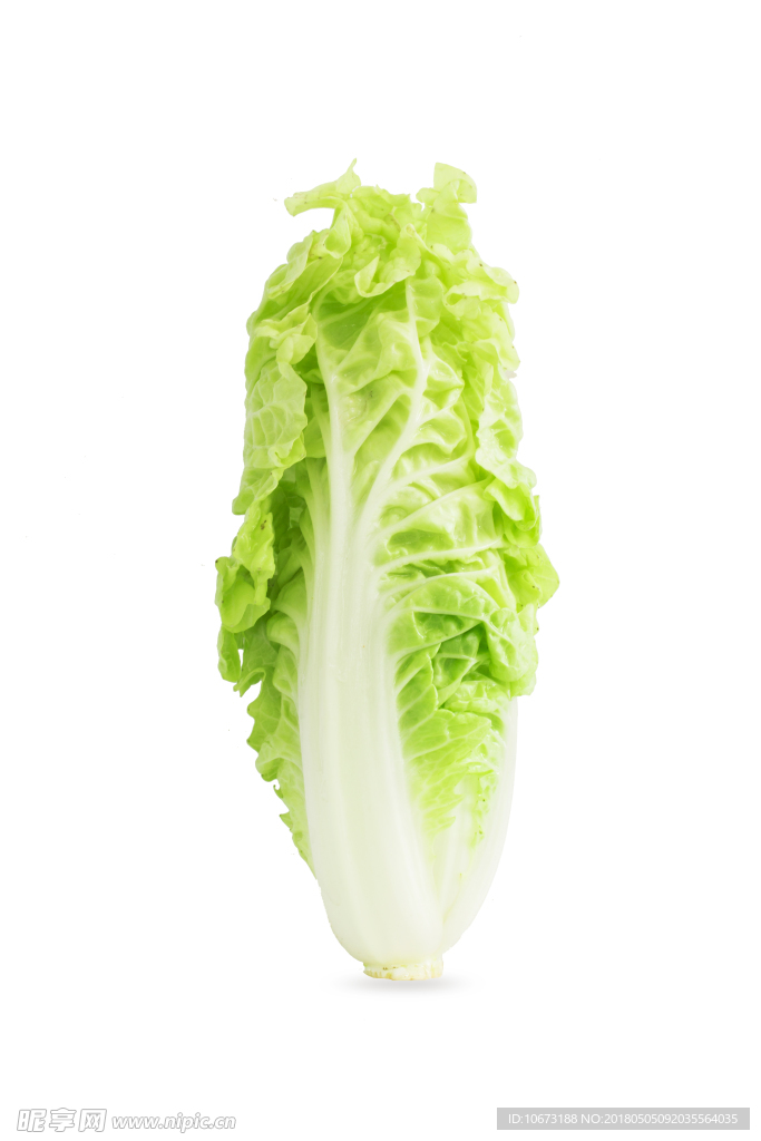 蔬菜