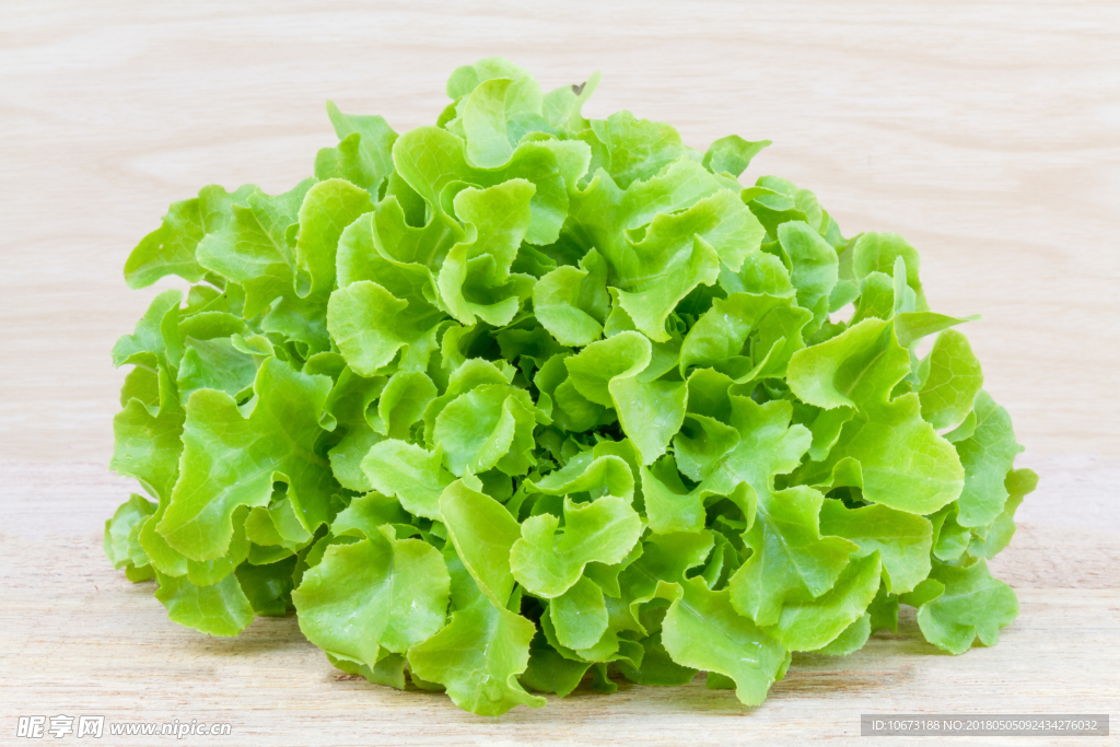 生菜