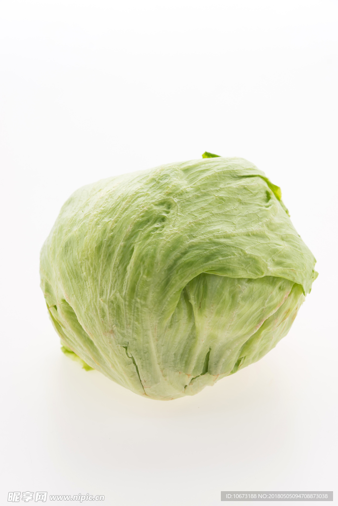 卷心菜