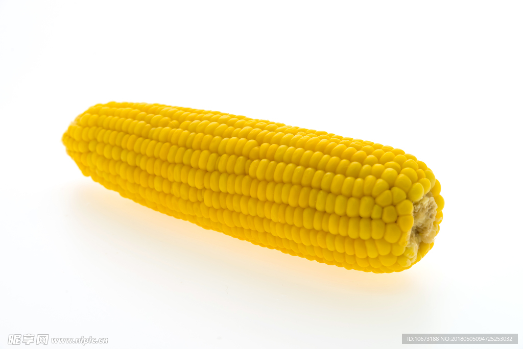 玉米