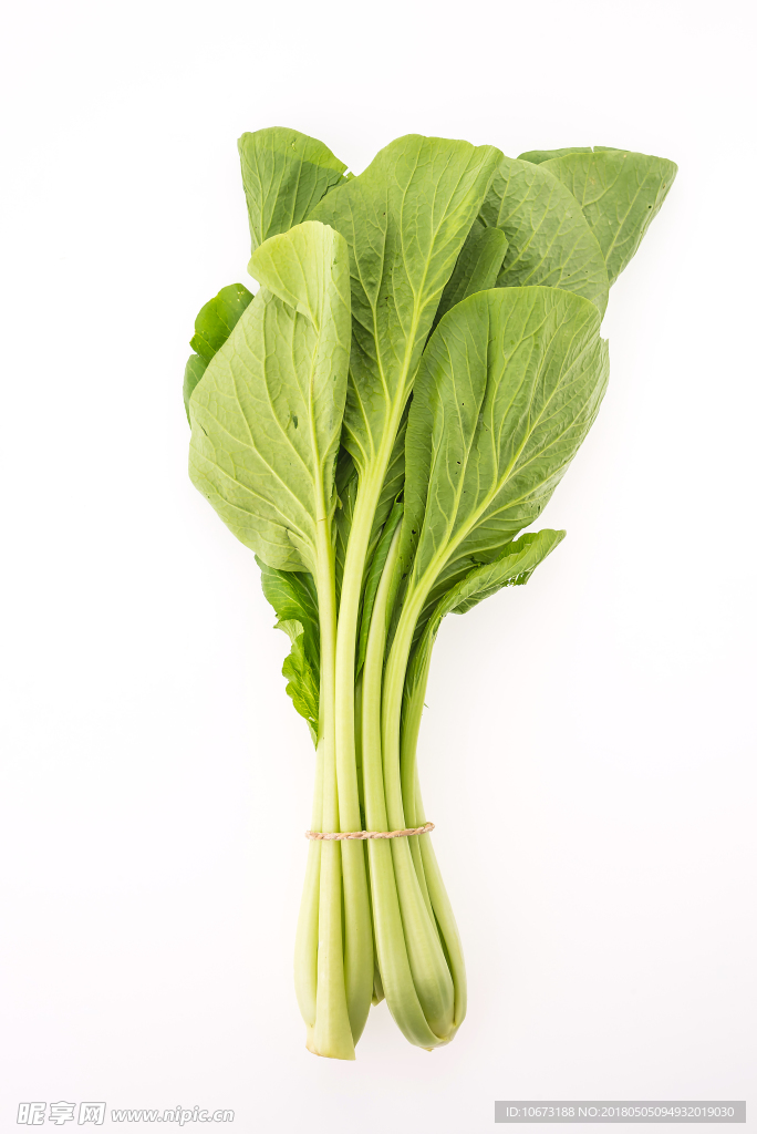 蔬菜