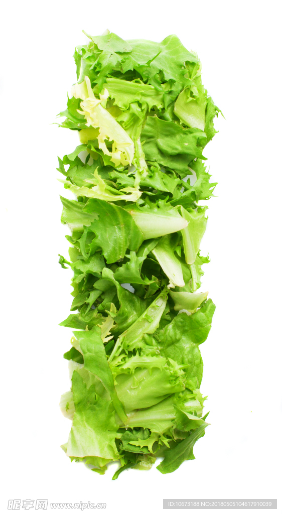 蔬菜