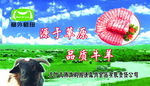 塞外鹤翔
