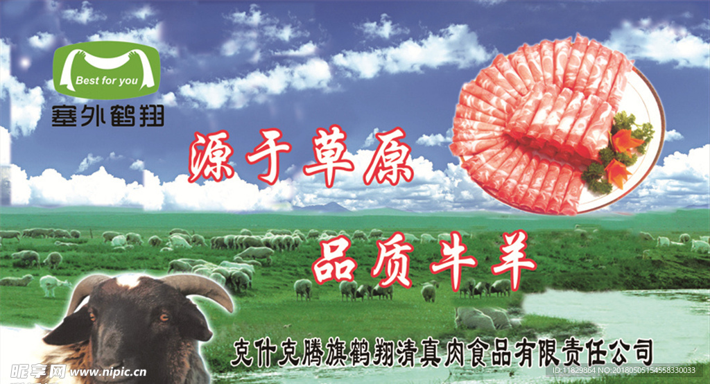 塞外鹤翔