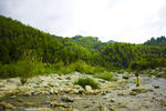 树林 山水 风情 河畔 石头