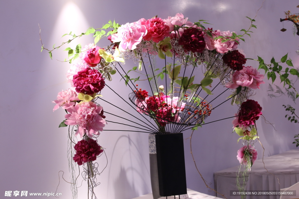 芍药花