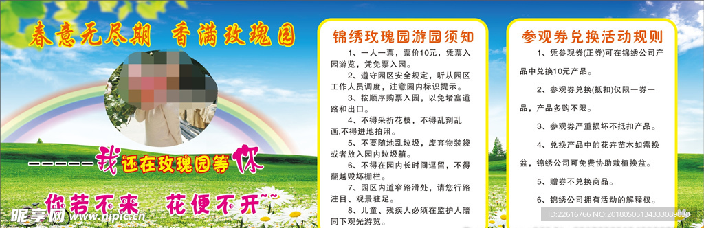 春意无尽期香满玫瑰园