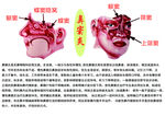 鼻窦炎