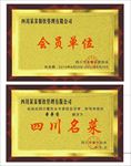 铜牌