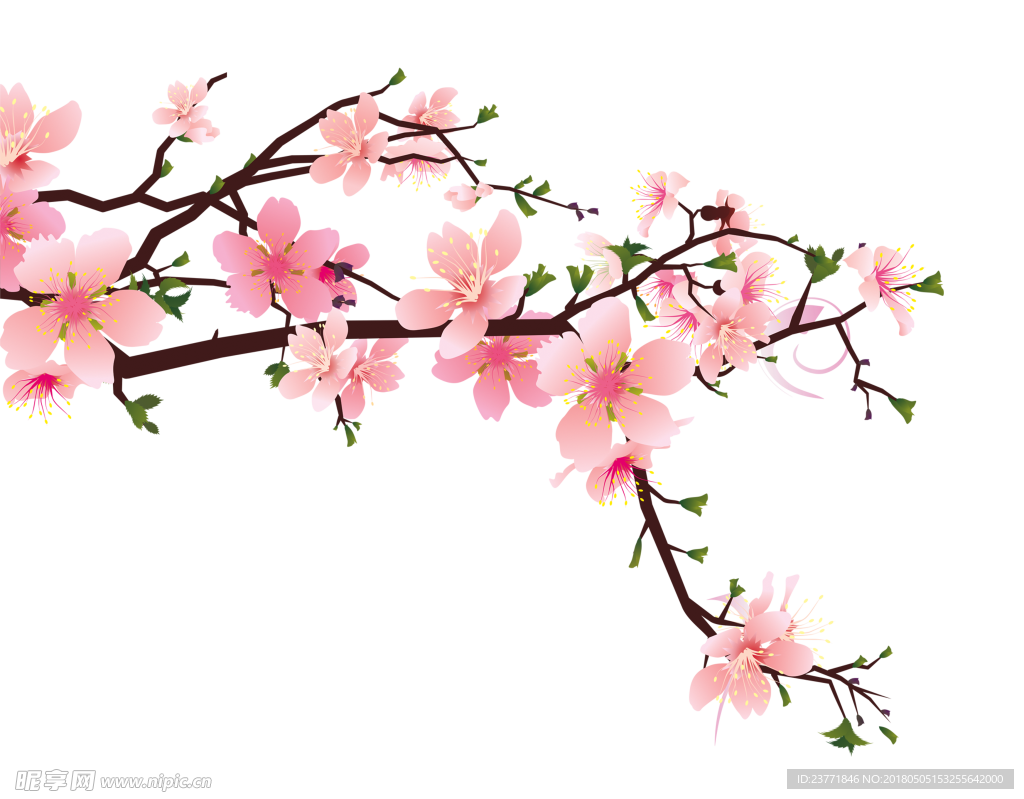 桃花