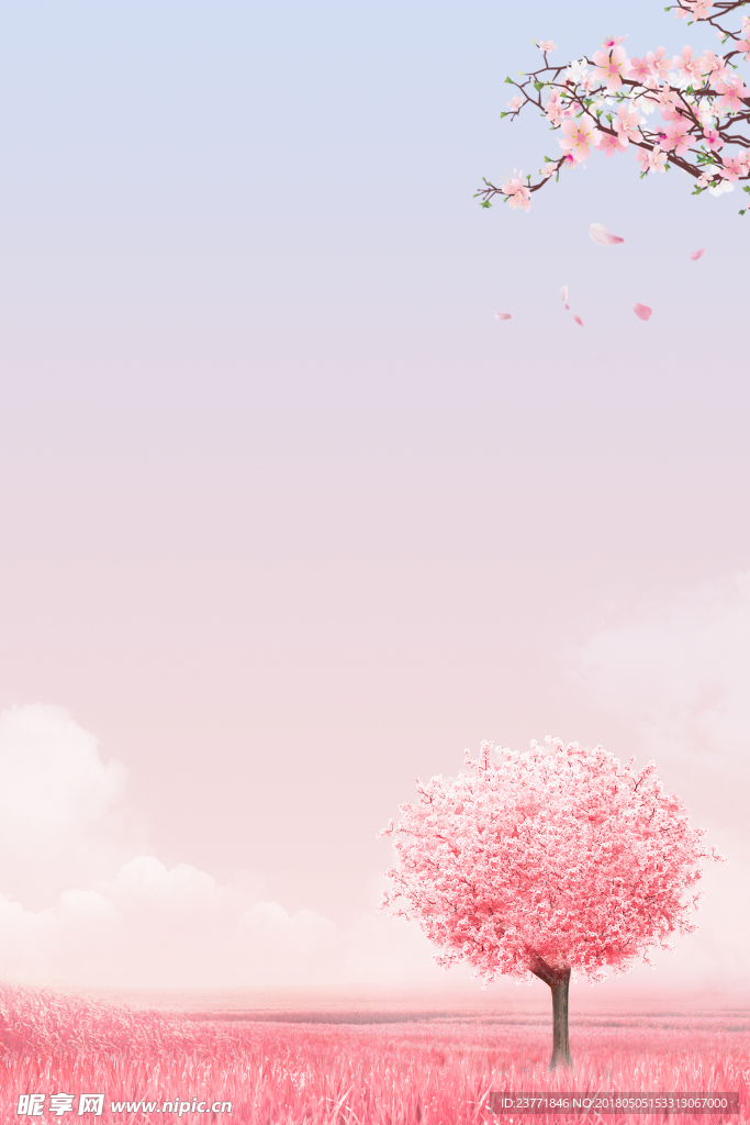 樱花背景