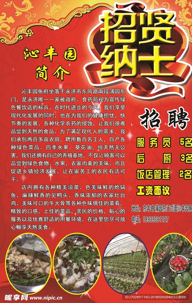 招聘  海报