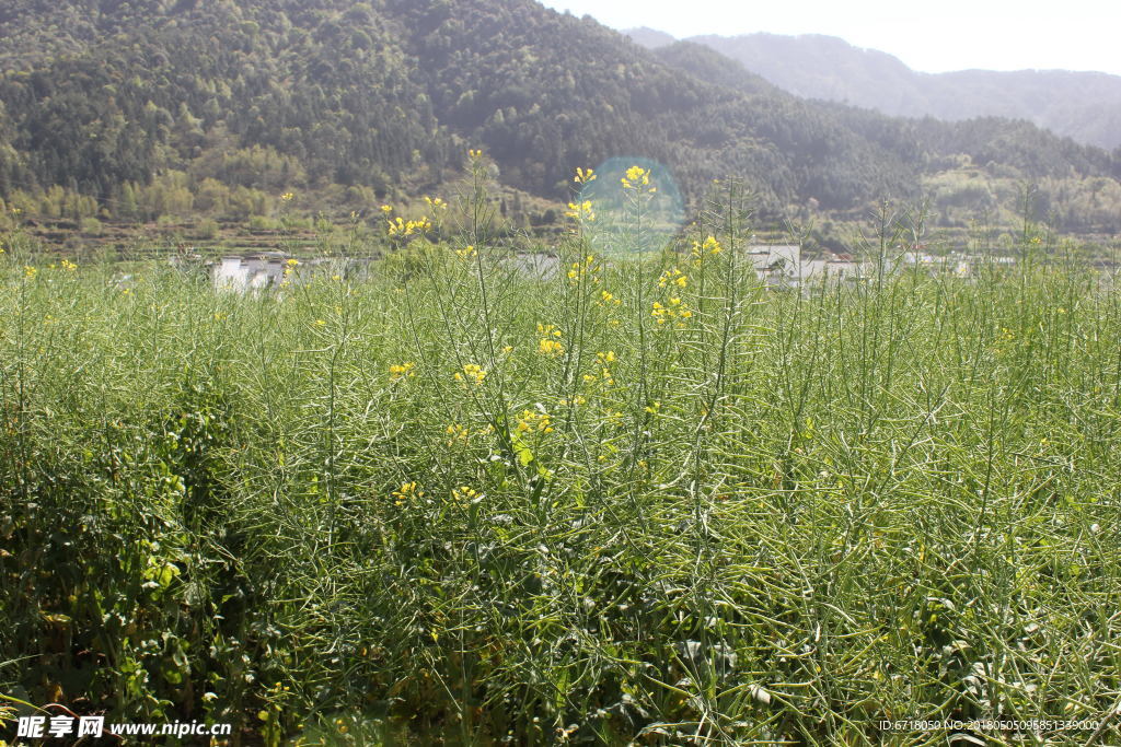山西山川