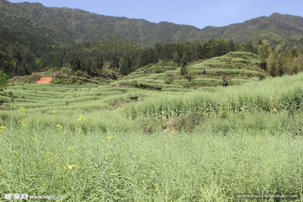 山西山川