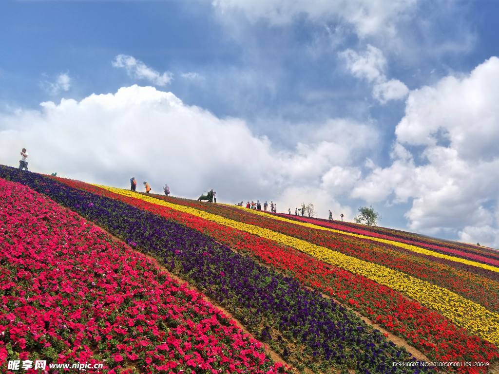 花海