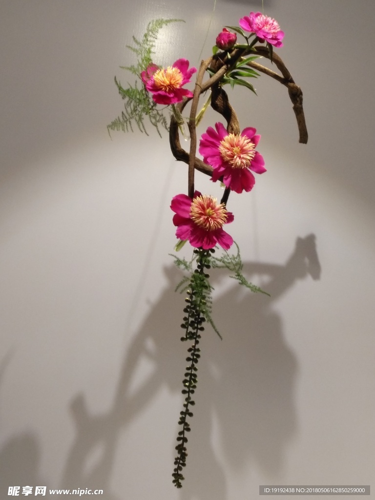 芍药花