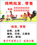 鸡鸭批发名片