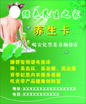 绿色养生之家