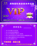 清雅美容